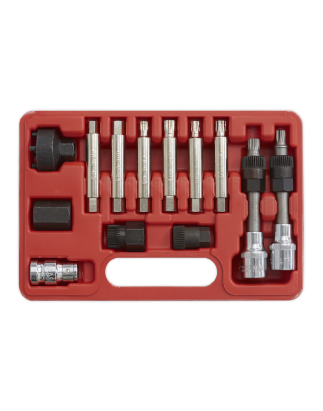 Alternator Freewheel Removal Set 13pc