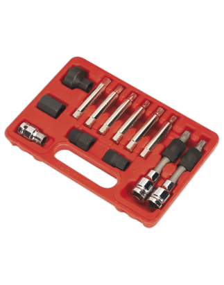 Alternator Freewheel Removal Set 13pc