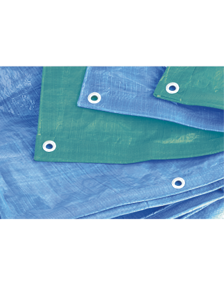 Tarpaulin 3.05 x 3.66m - Blue