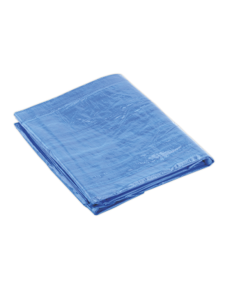 Tarpaulin 3.05 x 3.66m - Blue