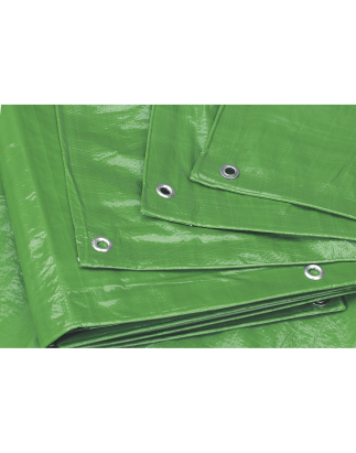 Tarpaulin 4.88 x 6.10m - Green