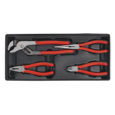 Tool Tray with Pliers Set 4pc