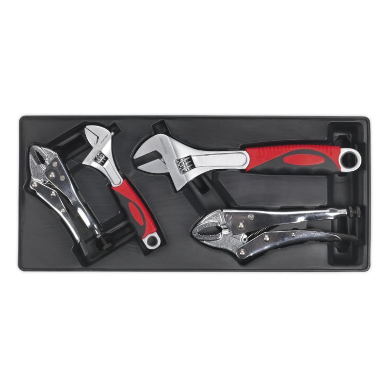 Tool Tray with Locking Pliers & Adjustable Wrench Set 4pc