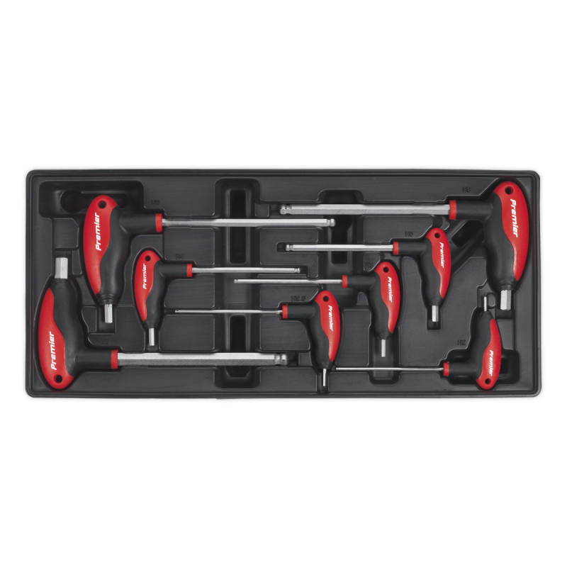 Tool Tray with T-Handle Ball-End Hex Key Set 8pc