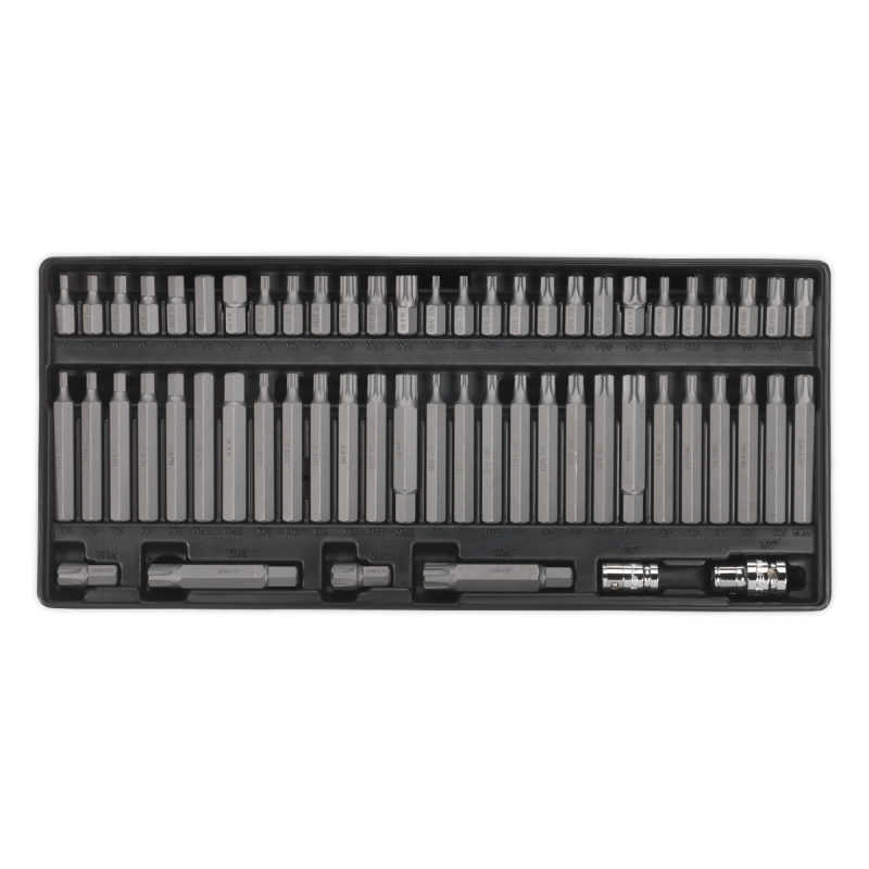 Tool Tray with Security TRX-Star*/Hex/Ribe/Spline Bit Set 60pc