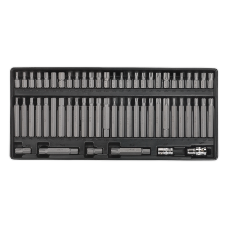 Tool Tray with Security TRX-Star*/Hex/Ribe/Spline Bit Set 60pc