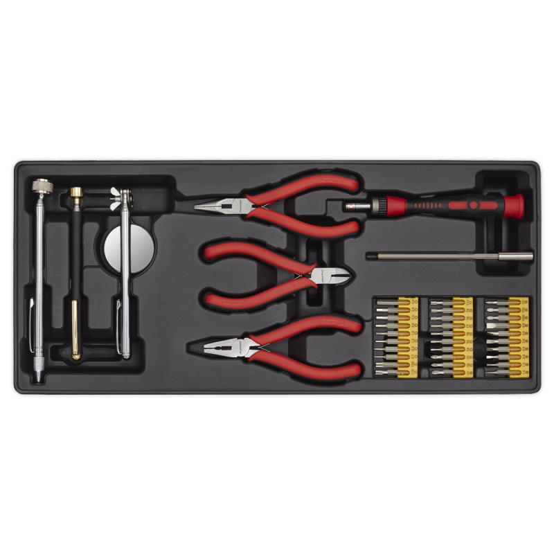 Plateau à outils avec ensemble d'outils de précision et de ramassage 38 pièces