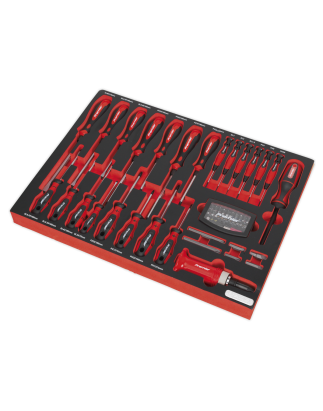 Tool Tray with Screwdriver Set 72pc