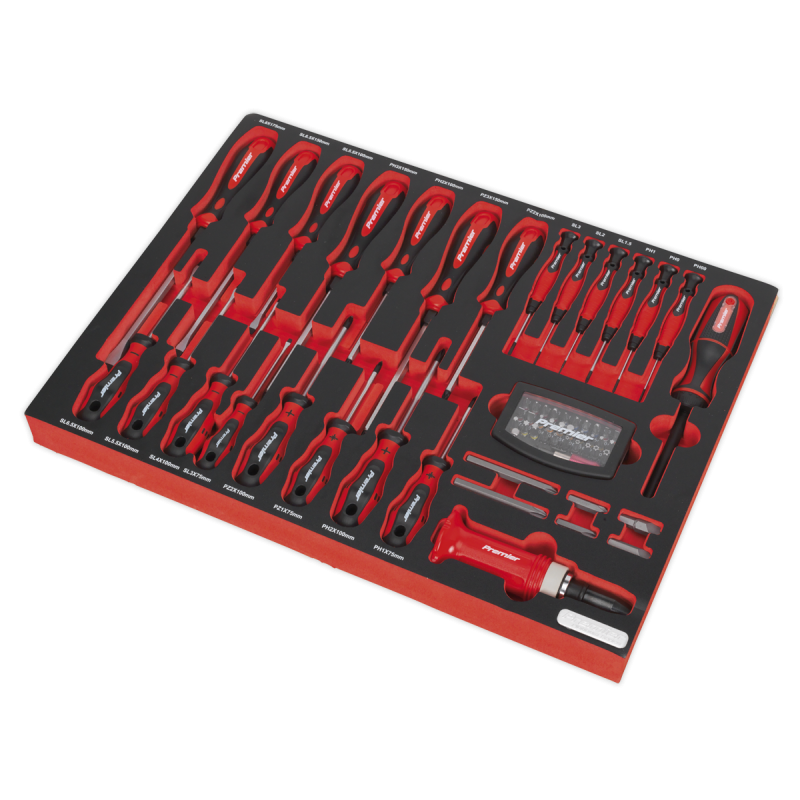 Tool Tray with Screwdriver Set 72pc