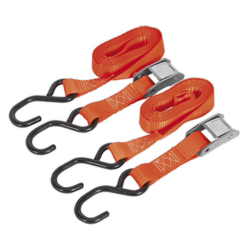 Cam Buckle Strap Polyester Webbing with S-Hooks 25mm x 2.5m 500kg Breaking Strength