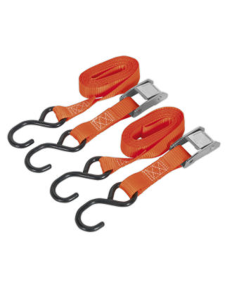 Cam Buckle Strap Polyester Webbing with S-Hooks 25mm x 2.5m 250kg Breaking Strength