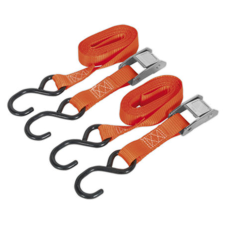 Cam Buckle Strap Polyester Webbing with S-Hooks 25mm x 2.5m 250kg Breaking Strength