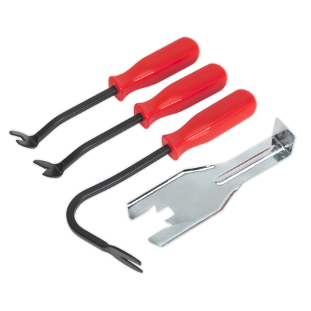 Trim Clip Removal Set 4pc