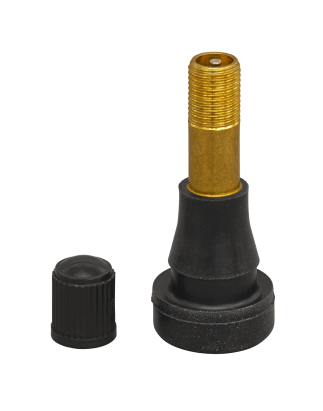 Pack de 50 - Valve de Pneu Haute Pression Tubeless Snap-in TR600