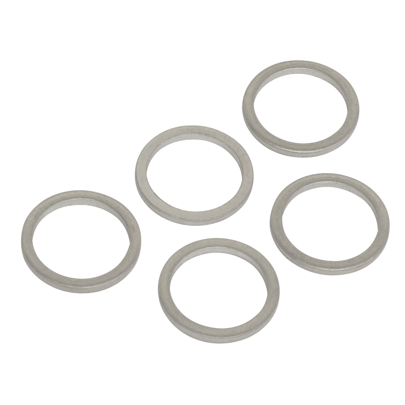 Sump Plug Washer M13 - Pack of 5