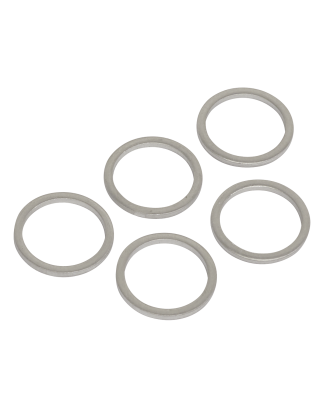 Sump Plug Washer M15 - Pack of 5