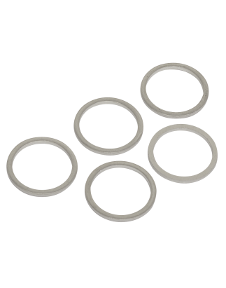 Sump Plug Washer M17 - Pack of 5