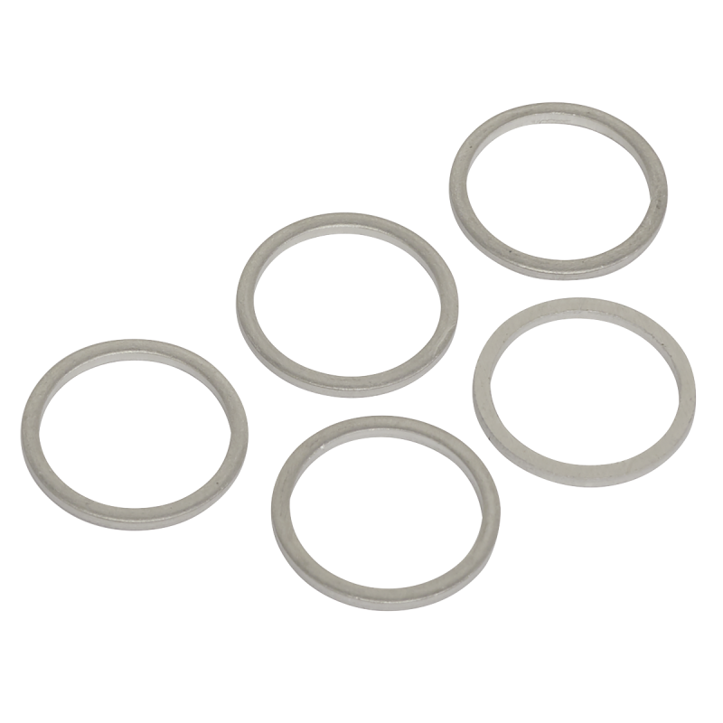 Sump Plug Washer M17 - Pack of 5