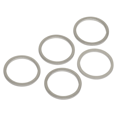 Sump Plug Washer M17 - Pack of 5