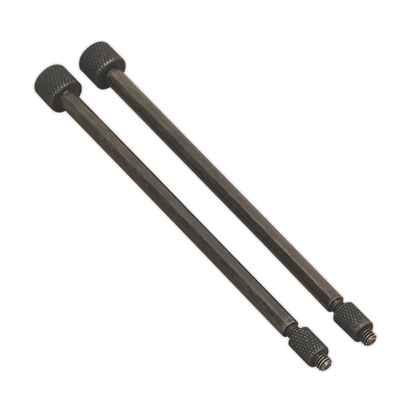 Door Hinge Removal Pin Ø3 x 110mm Pack of 2