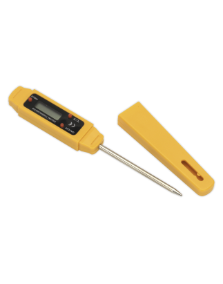 Mini Digital Thermometer