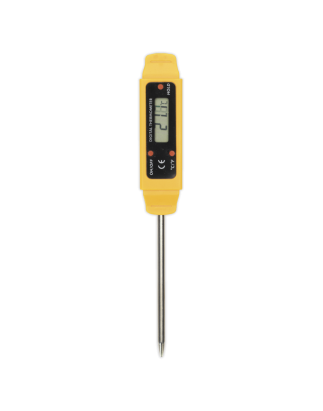 Mini Digital Thermometer