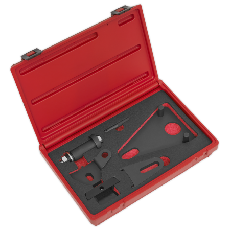 Front Pulley & Flywheel Locking Tool Set