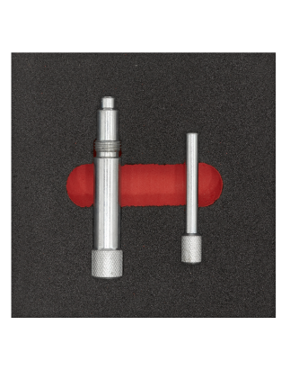 Diesel Engine Timing Tool Kit - for Land Rover 2.5D/TD5 - Chain Drive