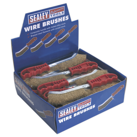 Wire Brush Brassed Steel Plastic Handle - Display Box of 24