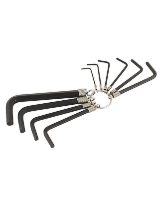 Hex Key Set on Ring 10pc Metric