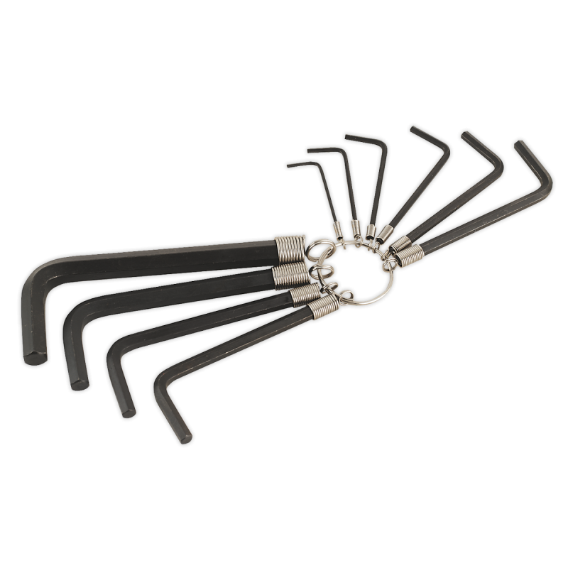 Hex Key Set on Ring 10pc Metric