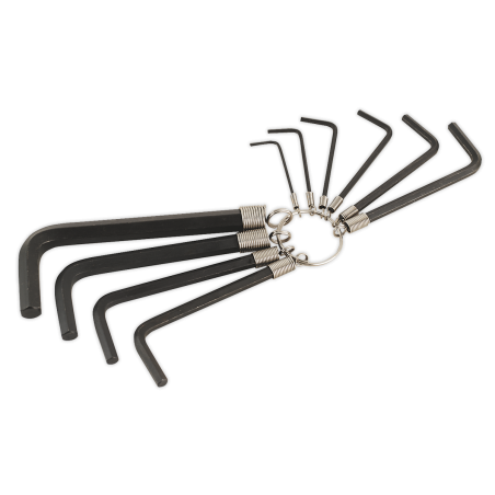 Hex Key Set on Ring 10pc Metric