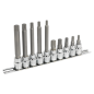 Spline Socket Bit Set 10pc 3/8"Sq Drive