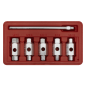 Drain Key Set 6pc Double End