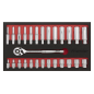 Ratchet Wrench & Socket Set 27pc 1/4"Sq Drive