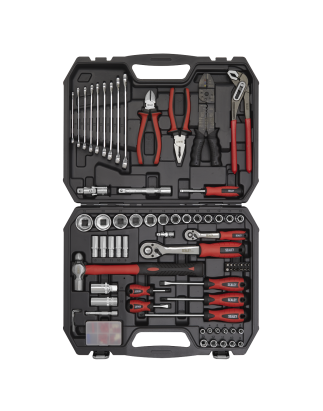 Mechanic's Tool Kit 100pc