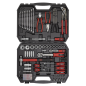 Mechanic's Tool Kit 100pc