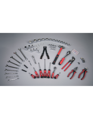 Mechanic's Tool Kit 100pc