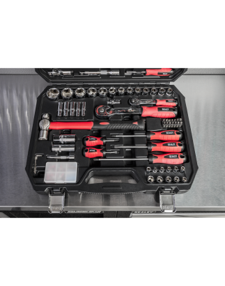 Mechanic's Tool Kit 100pc