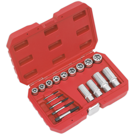 Premier Bolt, Stud & Screw Extractor Set 18pc