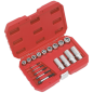 Premier Bolt, Stud & Screw Extractor Set 18pc