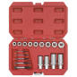 Premier Bolt, Stud & Screw Extractor Set 18pc