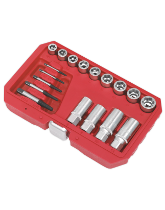 Premier Bolt, Stud & Screw Extractor Set 18pc