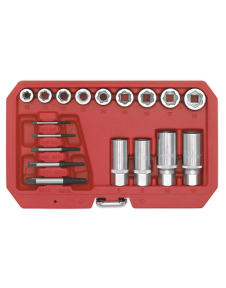 Ensemble d'extracteurs de boulons, goujons et vis Premier, 18 pièces