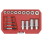 Premier Bolt, Stud & Screw Extractor Set 18pc