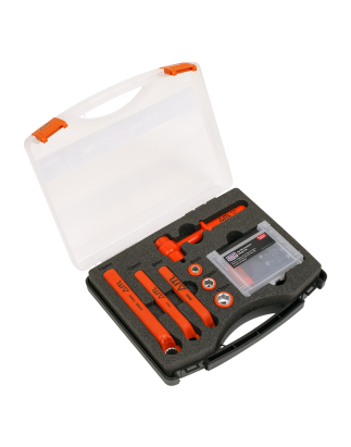 Hybrid & Electric Vehicle Battery Tool Kit 19pc