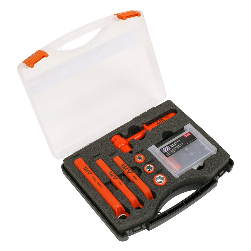 Hybrid & Electric Vehicle Battery Tool Kit 19pc