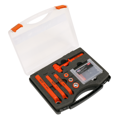 Hybrid & Electric Vehicle Battery Tool Kit 19pc