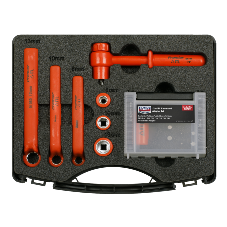 Hybrid & Electric Vehicle Battery Tool Kit 19pc