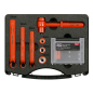 Hybrid & Electric Vehicle Battery Tool Kit 19pc